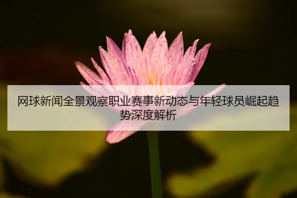 wang-qiu-xin-wen-quan-jing-guan-cha-zhi-ye-sai-shi-xin-dong-tai-yu-nian-qing-qiu-yuan-jue-qi-qu-shi-shen-du-jie-xi-2-713.jpg