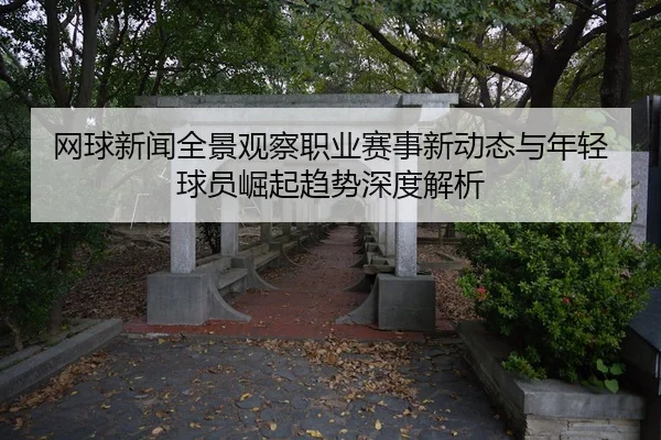 wang-qiu-xin-wen-quan-jing-guan-cha-zhi-ye-sai-shi-xin-dong-tai-yu-nian-qing-qiu-yuan-jue-qi-qu-shi-shen-du-jie-xi-3-240.jpg