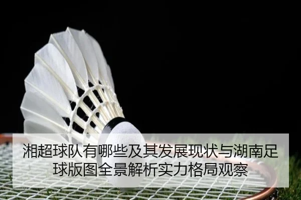 xiang-chao-qiu-dui-you-na-xie-ji-qi-fa-zhan-xian-zhuang-yu-hu-nan-zu-qiu-ban-tu-quan-jing-jie-xi-shi-li-ge-ju-guan-cha-3-481.jpg