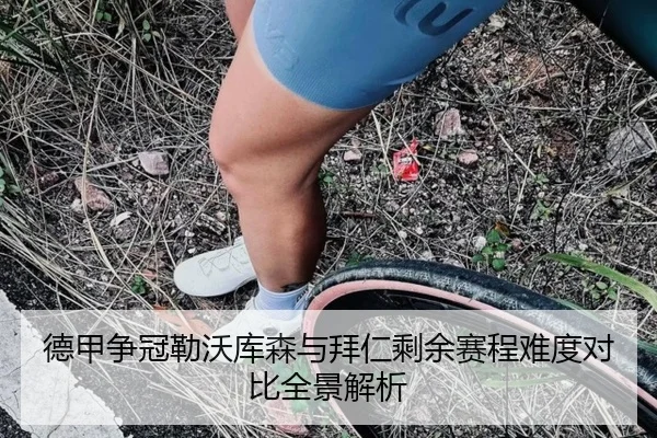 德甲争冠勒沃库森与拜仁剩余赛程难度对比全景解析